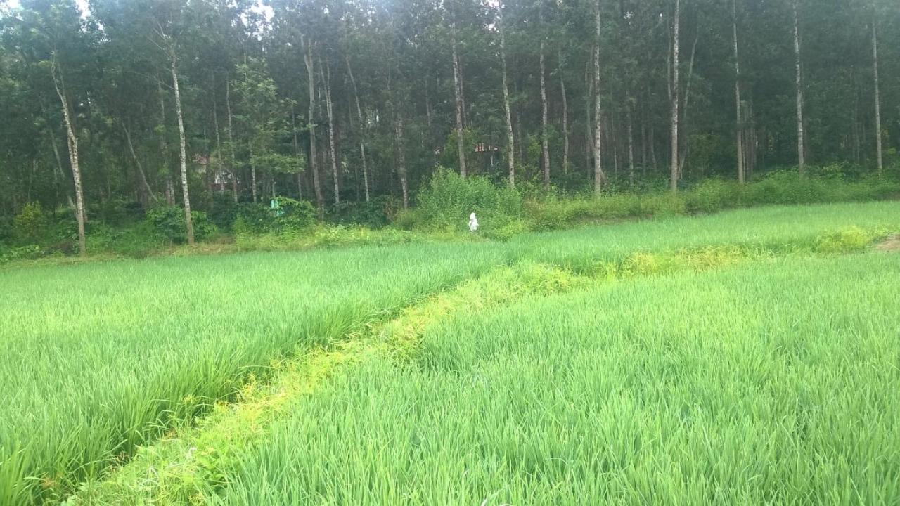 Rai Cottage @ Coorg ,Suntikoppa Ngoại thất bức ảnh