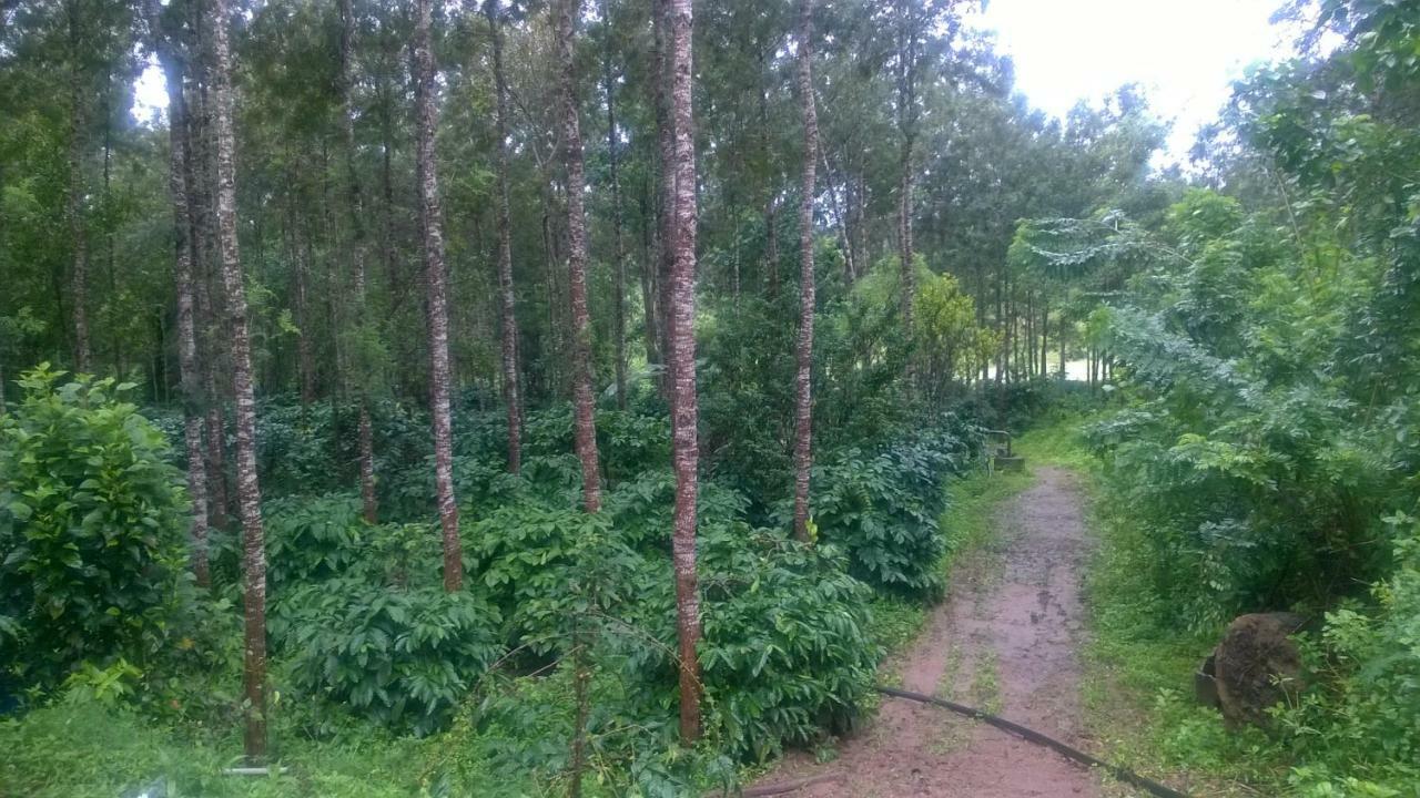 Rai Cottage @ Coorg ,Suntikoppa Ngoại thất bức ảnh
