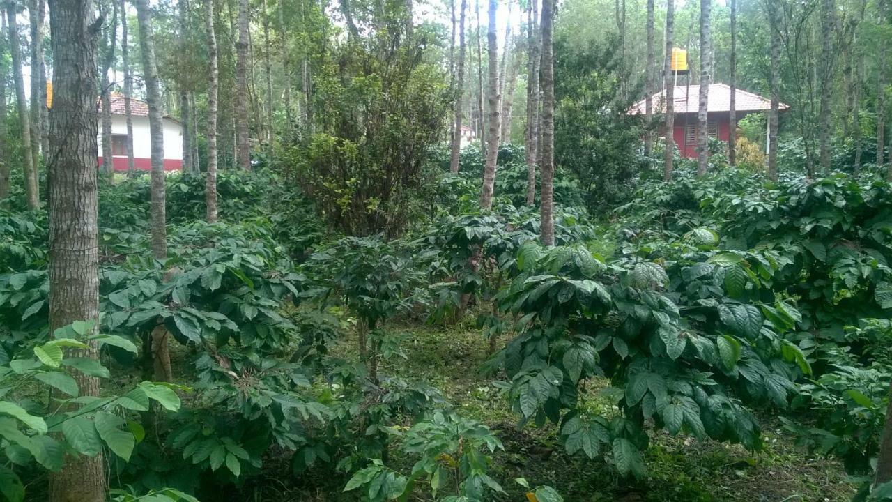 Rai Cottage @ Coorg ,Suntikoppa Ngoại thất bức ảnh
