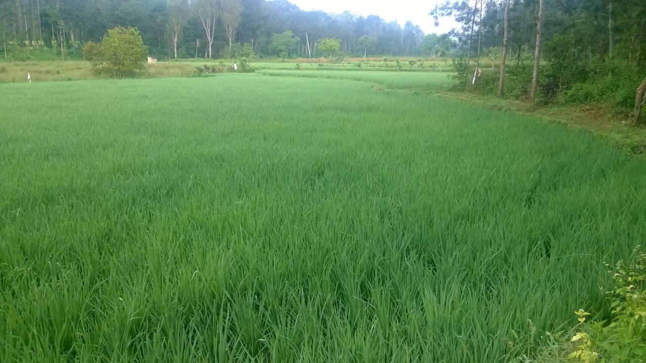 Rai Cottage @ Coorg ,Suntikoppa Ngoại thất bức ảnh
