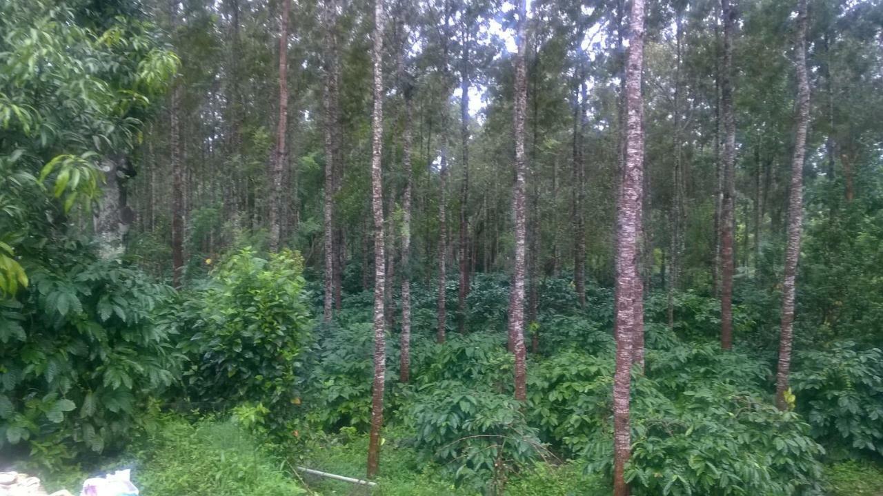 Rai Cottage @ Coorg ,Suntikoppa Ngoại thất bức ảnh
