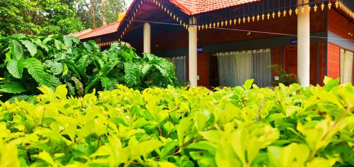 Rai Cottage @ Coorg ,Suntikoppa Ngoại thất bức ảnh